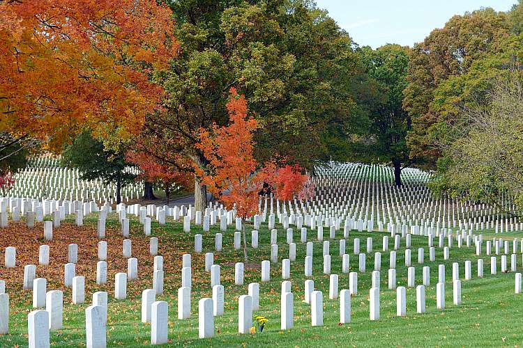 Washington Arlington